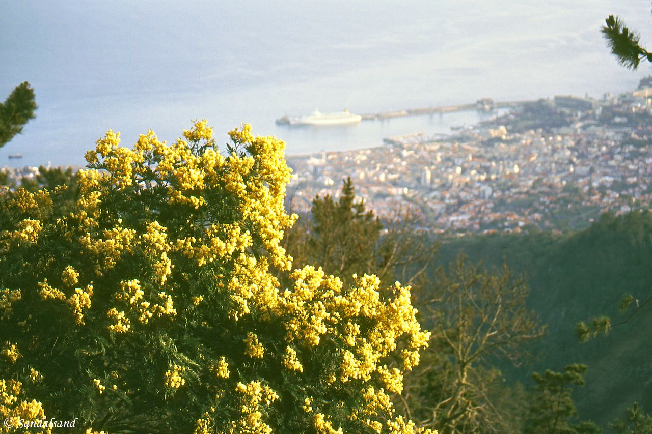 Portugal - Madeira - Funchal