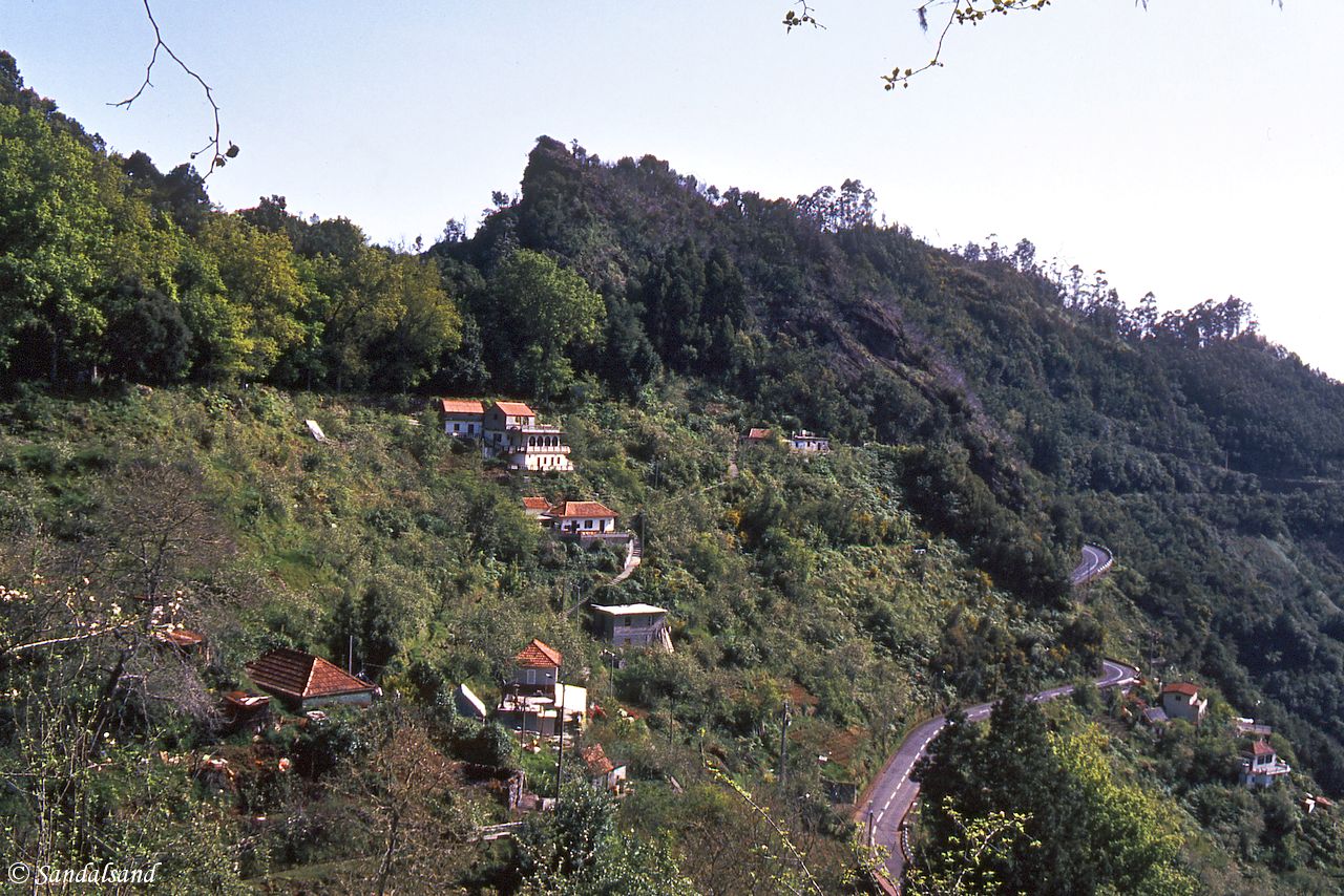 Portugal - Madeira - Ribeiro Frio