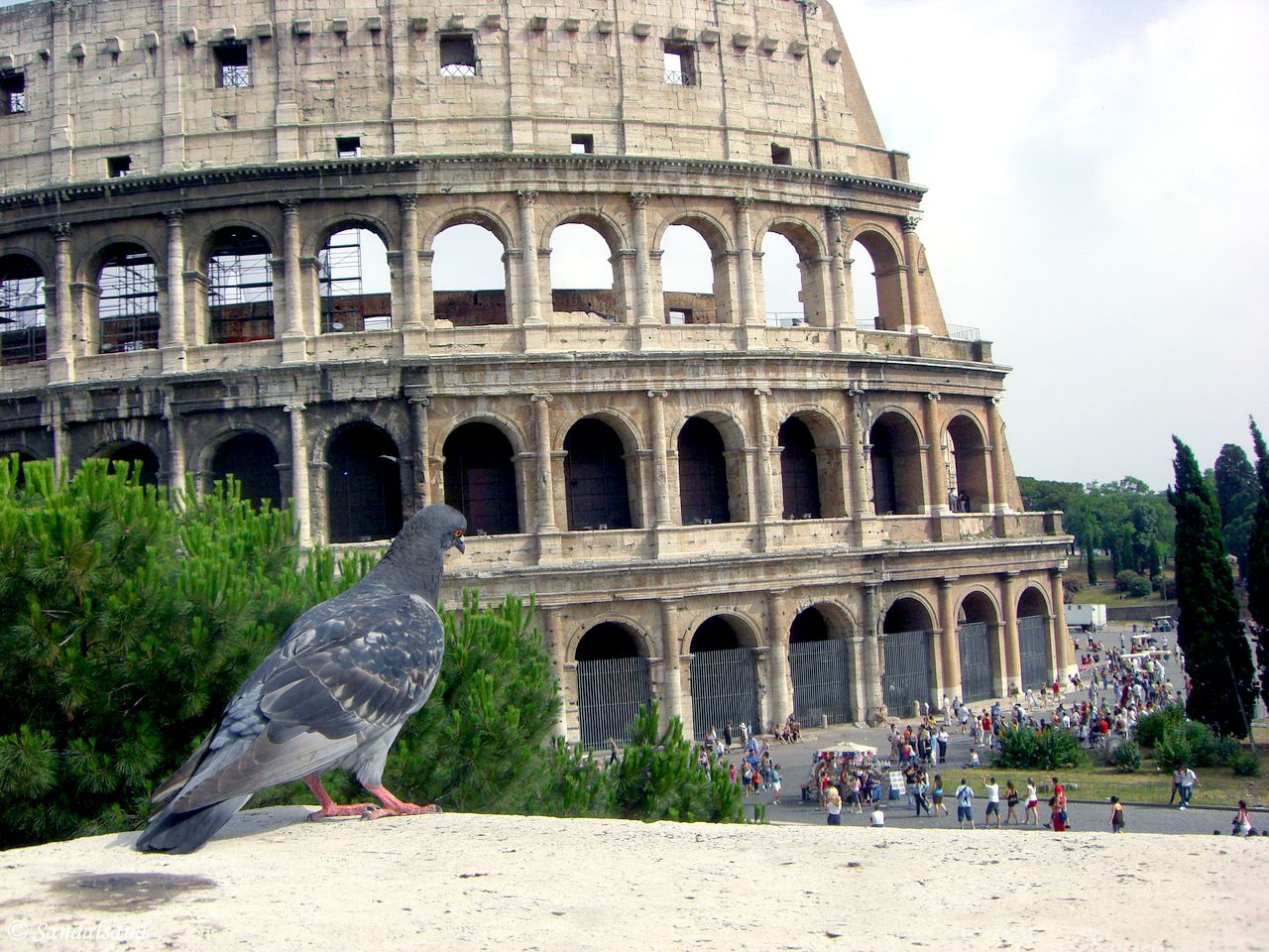 Italy - Roma - Collosseum