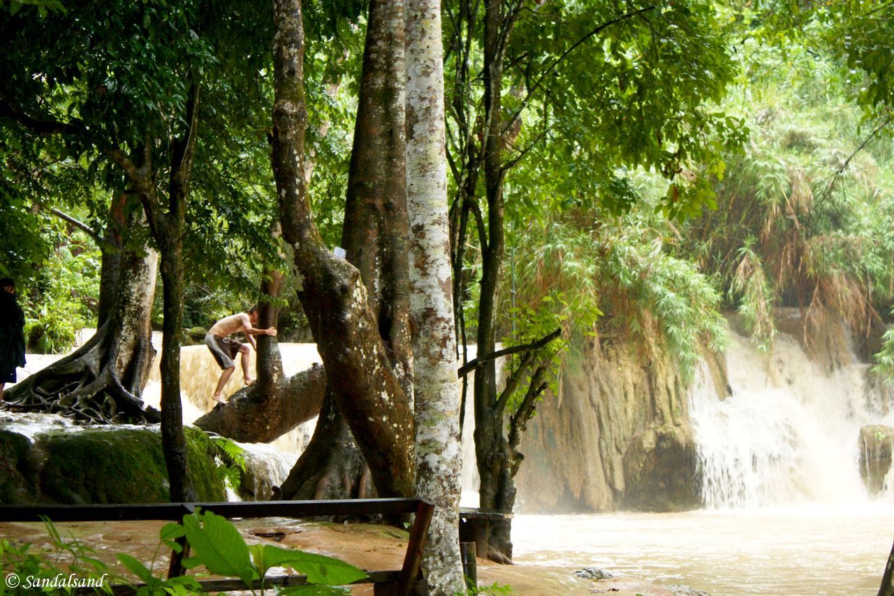 Laos - Luang Prabang - Tak Kuang Si waterfalls