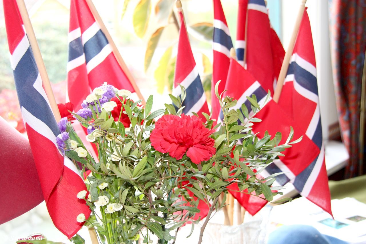 Flags on Norway's Constitution Day