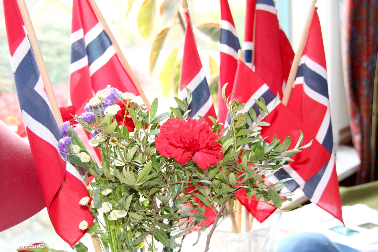 Flags on Norway's Constitution Day