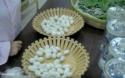 VIDEO – China – Beijing (10) Silk production process