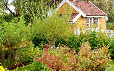 VIDEO – Våland allotment garden