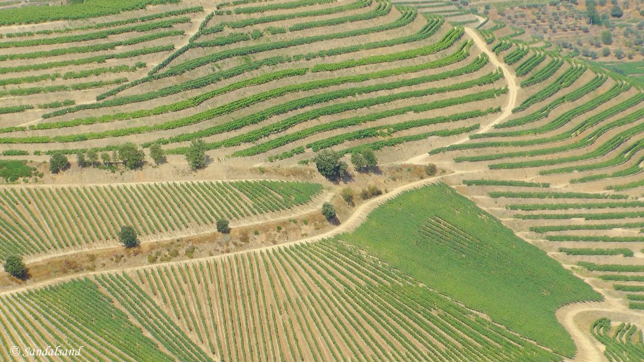 Portugal - Douro region