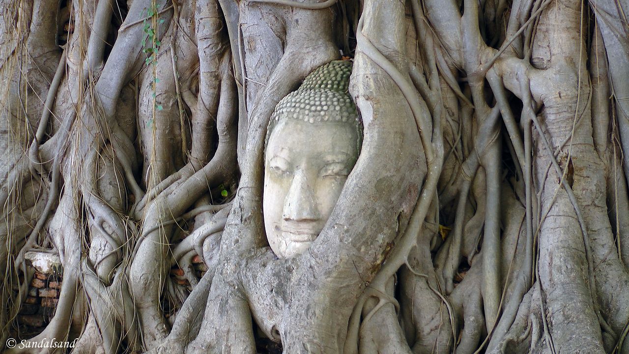 Thailand - Ayutthaya - Wat Mahathat