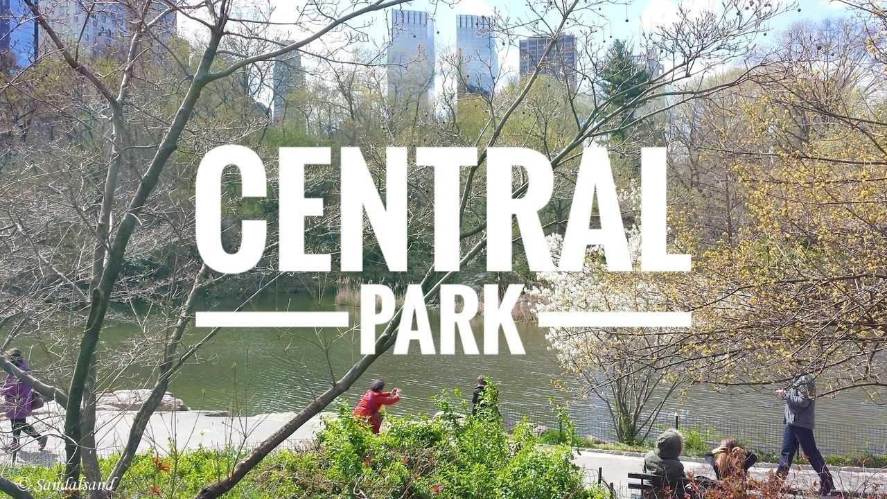 USA - New York - Central Park - The Pond - Video cover